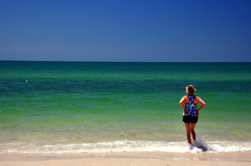 1. Poipu Beach: Kauai, Hawaii, 2. St. Andrews State Park: Panama City, Florida, 3. Caladesi Island State Park: Dunedin, Florida, 4. Wailea Beach – Maui, Hawaii, 5. Main Beach – East Hampton, New York, 6. Delnor-Wiggins Pass State Park – Naples, Florida, 7. Beachwalker Park – Kiawah Island, South Carolina, 8. Kaunaoa Beach – The Island of Hawaii, 9. Lanikai Beach – Oahu, Hawaii, 10. Coast Guard Beach – Cape Cod, Massachusetts