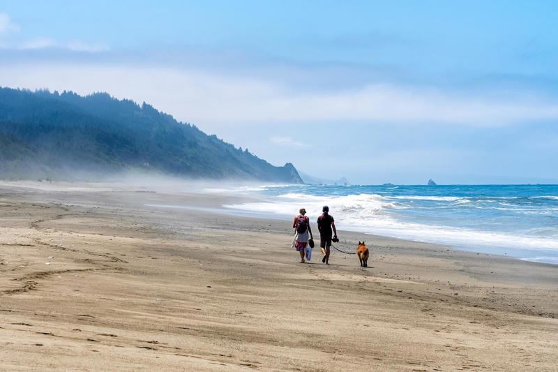 Gold Bluffs Beach South Leucadia State Beach, Avila Beach, Schooner Gulch State Beach, Big River Beach, Gold Bluffs Beach, Bean Hollow State Beach, Gualala Point Regional Park