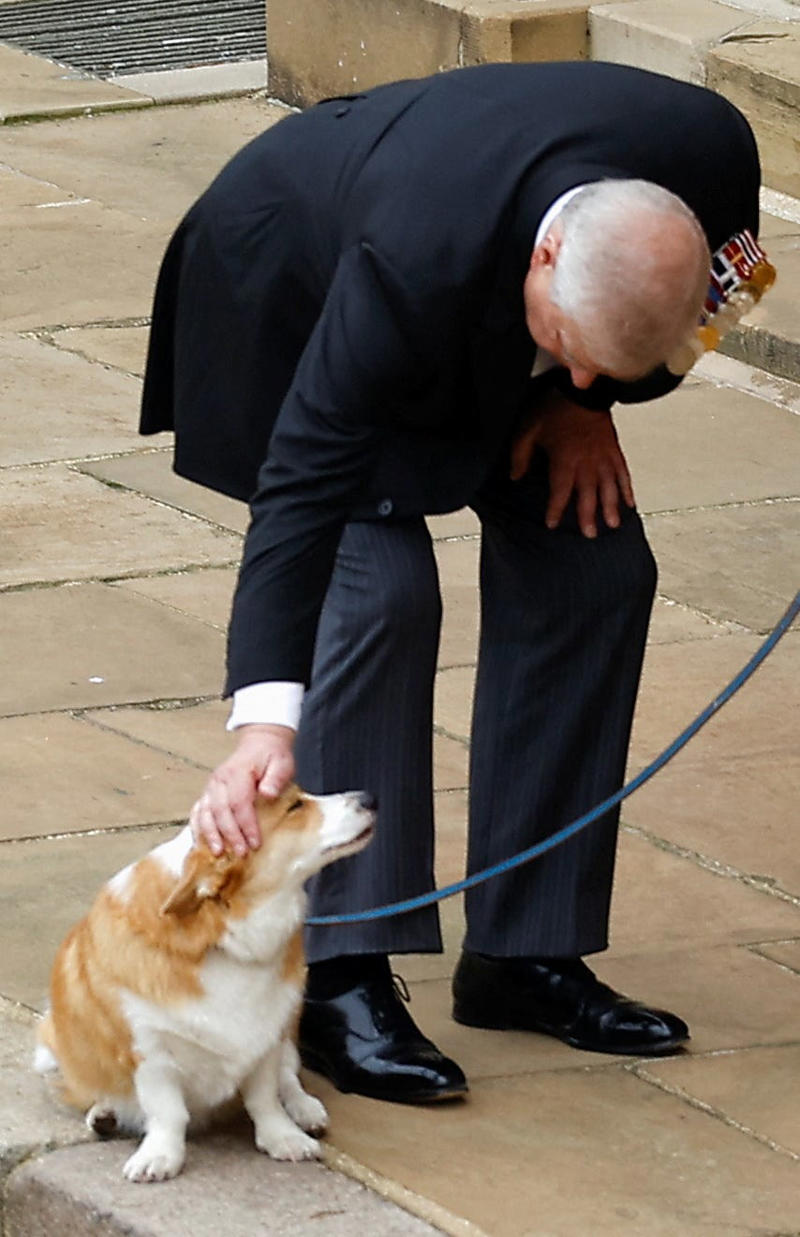 The corgi's last royal event was Queen Elizabeth's funeral , Andrew's royal eviction takes the corgis far outside London, Have the corgis put a 'woof' in Wolferton?, British locals say 'the corgis are about'