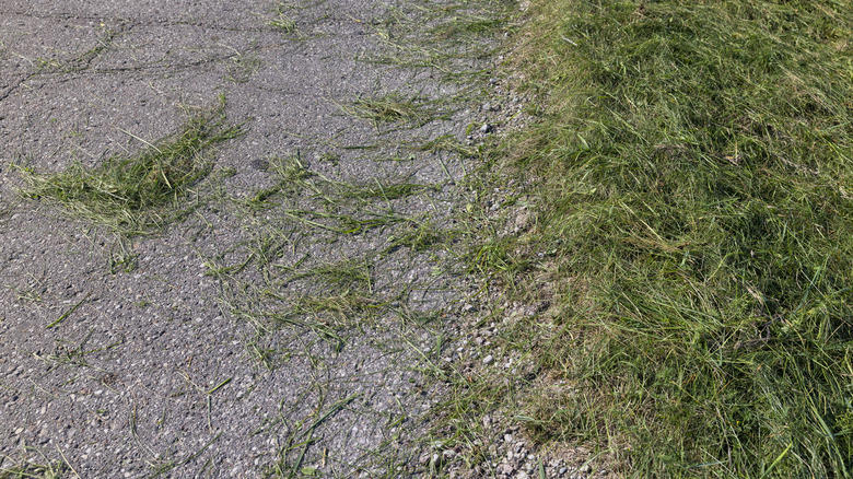 It's important to get the correct mower for your property's terrain, Lawn mower blades spin at high RPM and can cause devastating injuries, Walk through your yard looking for obstacles prior to mowing, Be careful not to discharge grass clippings onto your street