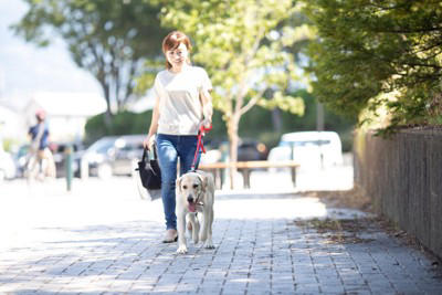 『寿命が短い』といわれている犬種５選, 1.グレート・デーン, 2.バーニーズ・マウンテン・ドッグ, 3.アイリッシュ・ウルフハウンド, 5.ゴールデン・レトリーバー, なぜ"短命"になりやすいの？, 体が大きいほど老化が早く負担も大きい傾向に, 呼吸器への負担が寿命を縮める原因に, 遺伝的な病気リスクを持つ犬種も, 健康寿命を延ばすためにできること