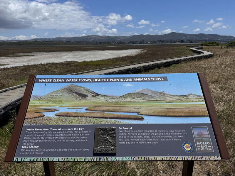What it’s like to visit Bayside Cafe in Morro Bay, Is Bayside Cafe affordable?, Walking off lunch on a coastal trail, How to visit Bayside Cafe in Morro Bay, Where should I go next?