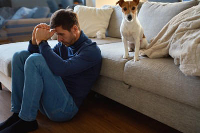 『しつけが難しい』犬種5選, 1.ボーダー・コリー, 3.シベリアン・ハスキー, 4.ジャック・ラッセル・テリア, 5.ジャーマン・シェパード・ドッグ, なぜ『飼いにくい』と言われるの?, 飼い主が悩みやすいポイントとは?, 「言うことを聞く=良い犬」ではない, 効果的なコマンドの教え方とは?, 短時間で何度も繰り返す, 成功した瞬間にわかりやすく褒める, 「できた」タイミングで終える