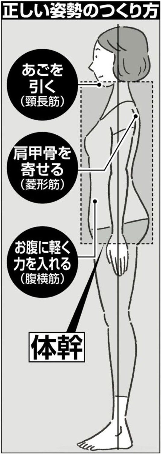 「100年動ける体」への第一歩は「正しい姿勢」にあった, あご・肩甲骨・お腹。体幹を支える3つのポイント, 正しい姿勢のつくり方, 「筋トレだけ」「散歩だけ」では歩く力を維持するのは難しい, 身体機能を維持する5つの要素, 「体の動きをセルフチェック」