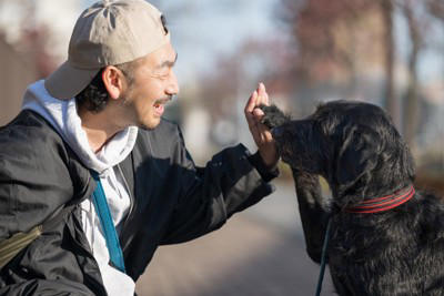 犬が大喜びするスキンシップ, 触られるのが好きな場所を撫でる, 笑顔でポジティブな声をかけながら撫でる, こっているところをマッサージする, コロコロや掃除機が好きな子も?, 犬と触れ合うコツと注意点, 撫で撫ではゆっくり大きく, 嫌がる場所には触れない, 初めての子にはまず挨拶を