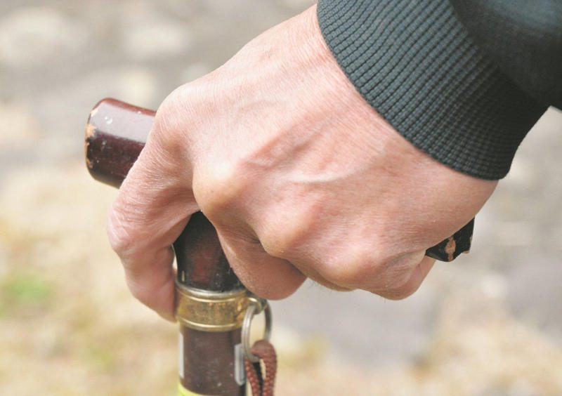 ◆日本一の長寿タウン川崎市麻生区で高齢者に聞いてみた, ◆現役世代「年金ももらえるか分からないし、国に期待しない」, ◆受診控えが進む懸念、重症化すればむしろ医療費増大, ◆若者支援掲げて支持拡大を図る各党, ◆「高齢者VS若者」の構図で論じるのはあまりにも粗雑, ◆「つぎはぎ政策」「浮いたお金を防衛費に回そうとしているよう」