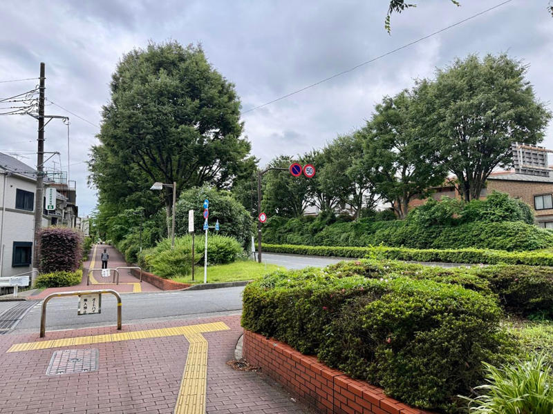 駅の開設が遅く、地下駅のみ, 駅前一等地に2つの小学校, 幹線道路に対する反対運動, 住民が住環境を守った, 住民の手でつくられた再開発されない街