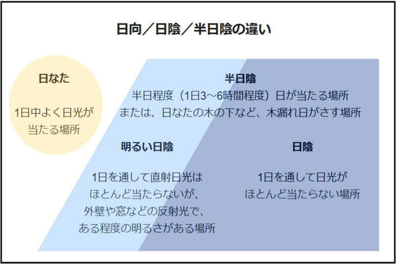 春に咲く「釣り鐘型の花」が可愛い低木3選, “一目で惹かれる”華やかな「フクシア」, かわいいだけじゃない、実まで楽しめる「ブルーベリー」, 庭になじむ、連なって咲くナチュラルな「ドウダンツツジ」, 【ガーデニング豆知識】日なた、日陰、半日陰、明るい日陰とは？