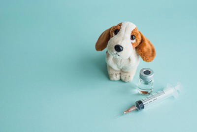要注意！犬が誤飲すると死ぬかもしれないモノ, 農薬・除草剤などの化学物質, チョコレートやネギ類など犬にとって有毒な食べ物, 折れた骨や針など尖ったモノ, すぐ病院へ！誤飲後の危険な症状, よだれが止まらない