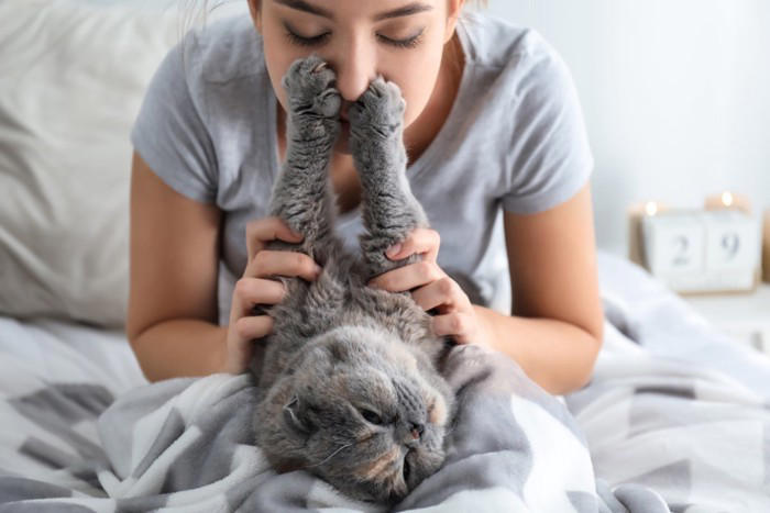 猫を不幸にする飼い主の5つの特徴, 1.健康・食事管理に無頓着, 2.猫の気持ちを無視したコミュニケーション, 3.お世話をさぼる, 4.経済的に余裕がない, 5.飼育環境が不適切, 猫を不幸にしないためにも行動を見直すべき理由