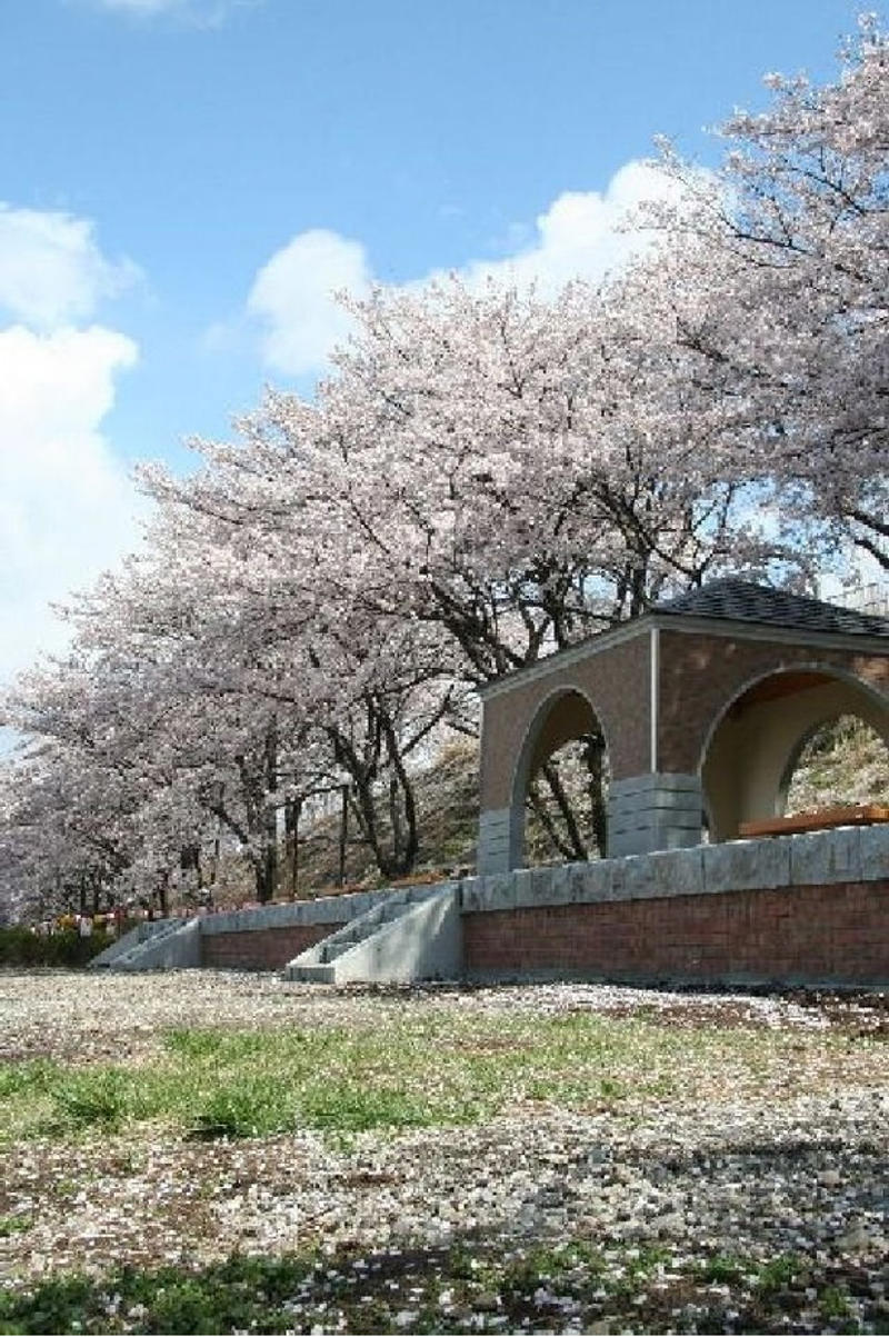 【東北】今見頃・まもなく見頃を迎えそうな名所の桜, 【関東】今見頃・まもなく見頃を迎えそうな名所の桜, 【甲信越】今見頃・まもなく見頃を迎えそうな名所の桜, 【北陸】今見頃・まもなく見頃を迎えそうな名所の桜, 【東海】今見頃・まもなく見頃を迎えそうな名所の桜, 【関西】今見頃・まもなく見頃を迎えそうな名所の桜, 【中国】今見頃・まもなく見頃を迎えそうな名所の桜, 【四国】今見頃・まもなく見頃を迎えそうな名所の桜, 【九州】今見頃・まもなく見頃を迎えそうな名所の桜