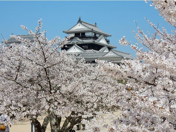 【東北】今見頃・まもなく見頃を迎えそうな名所の桜, 【関東】今見頃・まもなく見頃を迎えそうな名所の桜, 【甲信越】今見頃・まもなく見頃を迎えそうな名所の桜, 【北陸】今見頃・まもなく見頃を迎えそうな名所の桜, 【東海】今見頃・まもなく見頃を迎えそうな名所の桜, 【関西】今見頃・まもなく見頃を迎えそうな名所の桜, 【中国】今見頃・まもなく見頃を迎えそうな名所の桜, 【四国】今見頃・まもなく見頃を迎えそうな名所の桜, 【九州】今見頃・まもなく見頃を迎えそうな名所の桜