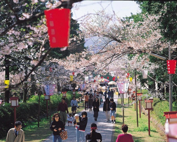 【東北】今見頃・まもなく見頃を迎えそうな名所の桜, 【関東】今見頃・まもなく見頃を迎えそうな名所の桜, 【甲信越】今見頃・まもなく見頃を迎えそうな名所の桜, 【北陸】今見頃・まもなく見頃を迎えそうな名所の桜, 【東海】今見頃・まもなく見頃を迎えそうな名所の桜, 【関西】今見頃・まもなく見頃を迎えそうな名所の桜, 【中国】今見頃・まもなく見頃を迎えそうな名所の桜, 【四国】今見頃・まもなく見頃を迎えそうな名所の桜, 【九州】今見頃・まもなく見頃を迎えそうな名所の桜
