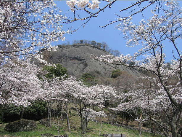 【東北】今見頃・まもなく見頃を迎えそうな名所の桜, 【関東】今見頃・まもなく見頃を迎えそうな名所の桜, 【甲信越】今見頃・まもなく見頃を迎えそうな名所の桜, 【北陸】今見頃・まもなく見頃を迎えそうな名所の桜, 【東海】今見頃・まもなく見頃を迎えそうな名所の桜, 【関西】今見頃・まもなく見頃を迎えそうな名所の桜, 【中国】今見頃・まもなく見頃を迎えそうな名所の桜, 【四国】今見頃・まもなく見頃を迎えそうな名所の桜, 【九州】今見頃・まもなく見頃を迎えそうな名所の桜