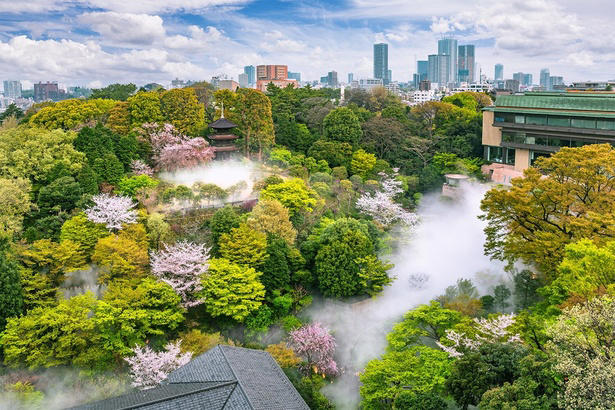 【東北】今見頃・まもなく見頃を迎えそうな名所の桜, 【関東】今見頃・まもなく見頃を迎えそうな名所の桜, 【甲信越】今見頃・まもなく見頃を迎えそうな名所の桜, 【北陸】今見頃・まもなく見頃を迎えそうな名所の桜, 【東海】今見頃・まもなく見頃を迎えそうな名所の桜, 【関西】今見頃・まもなく見頃を迎えそうな名所の桜, 【中国】今見頃・まもなく見頃を迎えそうな名所の桜, 【四国】今見頃・まもなく見頃を迎えそうな名所の桜, 【九州】今見頃・まもなく見頃を迎えそうな名所の桜