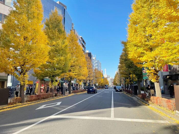 外出時に身の周りにあるものから現在地を知る方法, 電柱の街区表示板、電柱番号, 自動販売機の住所表示ステッカー, 非常時の通報に知っていると役立つ場所の確認方法, 1. 信号機の交差点名やバス停名, 2. 都内なら道路標識、信号機の制御用箱の管理番号をチェック, 3. コンビニなどのお店の名前