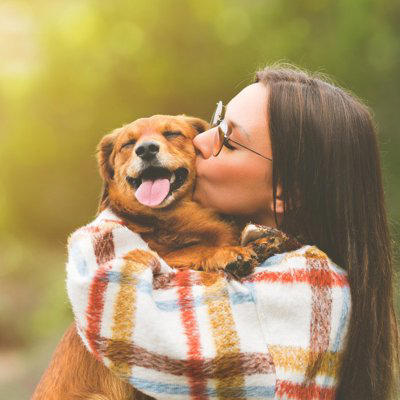 飼い主が犬より先に亡くなった場合に起こること3つ, 1.犬の面倒を見る人がいなくなる, 2.犬が強いストレスと不安を感じる, 3.犬が飢えてしまう, 愛犬を不幸にさせないためにすべきこと