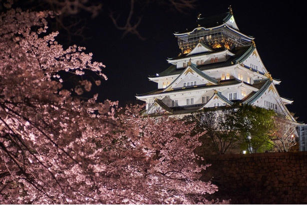 【東北】今見頃・まもなく見頃を迎えそうな名所の桜, 【関東】今見頃・まもなく見頃を迎えそうな名所の桜, 【甲信越】今見頃・まもなく見頃を迎えそうな名所の桜, 【北陸】今見頃・まもなく見頃を迎えそうな名所の桜, 【東海】今見頃・まもなく見頃を迎えそうな名所の桜, 【関西】今見頃・まもなく見頃を迎えそうな名所の桜, 【中国】今見頃・まもなく見頃を迎えそうな名所の桜, 【四国】今見頃・まもなく見頃を迎えそうな名所の桜, 【九州】今見頃・まもなく見頃を迎えそうな名所の桜