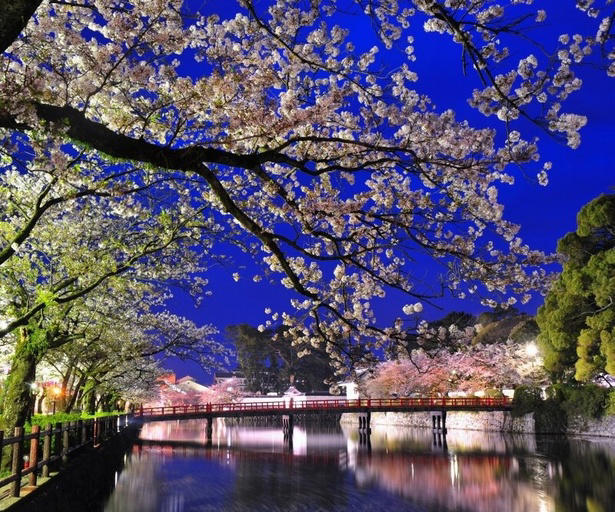 【東北】今見頃・まもなく見頃を迎えそうな名所の桜, 【関東】今見頃・まもなく見頃を迎えそうな名所の桜, 【甲信越】今見頃・まもなく見頃を迎えそうな名所の桜, 【北陸】今見頃・まもなく見頃を迎えそうな名所の桜, 【東海】今見頃・まもなく見頃を迎えそうな名所の桜, 【関西】今見頃・まもなく見頃を迎えそうな名所の桜, 【中国】今見頃・まもなく見頃を迎えそうな名所の桜, 【四国】今見頃・まもなく見頃を迎えそうな名所の桜, 【九州】今見頃・まもなく見頃を迎えそうな名所の桜