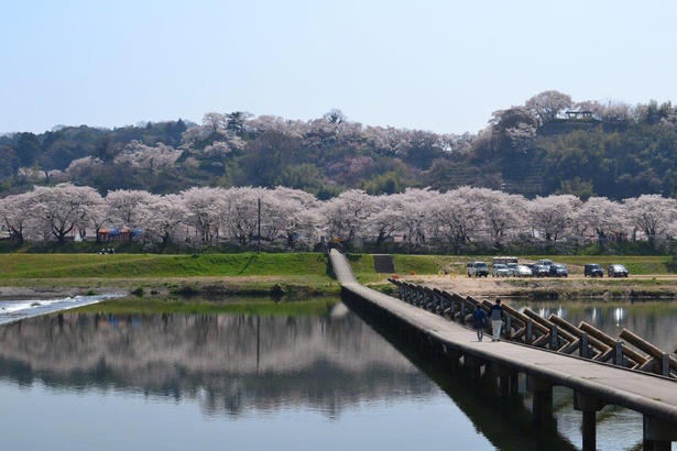 【東北】今見頃・まもなく見頃を迎えそうな名所の桜, 【関東】今見頃・まもなく見頃を迎えそうな名所の桜, 【甲信越】今見頃・まもなく見頃を迎えそうな名所の桜, 【北陸】今見頃・まもなく見頃を迎えそうな名所の桜, 【東海】今見頃・まもなく見頃を迎えそうな名所の桜, 【関西】今見頃・まもなく見頃を迎えそうな名所の桜, 【中国】今見頃・まもなく見頃を迎えそうな名所の桜, 【四国】今見頃・まもなく見頃を迎えそうな名所の桜, 【九州】今見頃・まもなく見頃を迎えそうな名所の桜