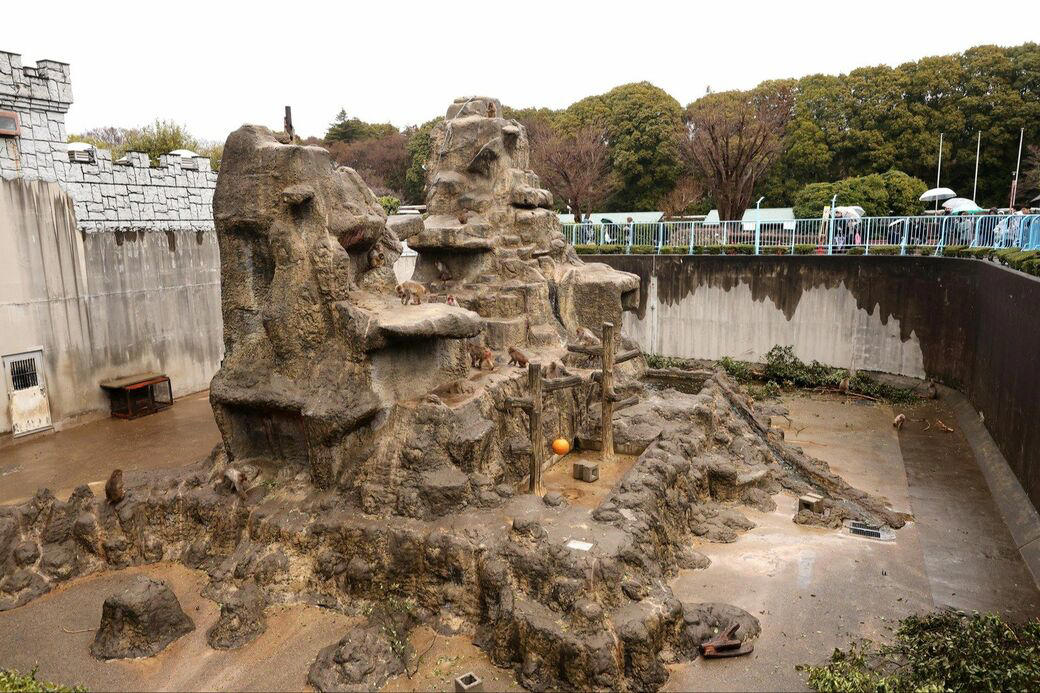 「サル山担当」になり1カ月半で、パンチくんを人工哺育, パンチくんを「保育器に入れなかった」理由, ぬいぐるみは「人への過剰な依存」を避ける目的もある, 群れに戻すことは非常に難しい, 飼育員が「やさしくしてくれるサル」を見極めた, “無邪気で活発”なパンチくんの強み