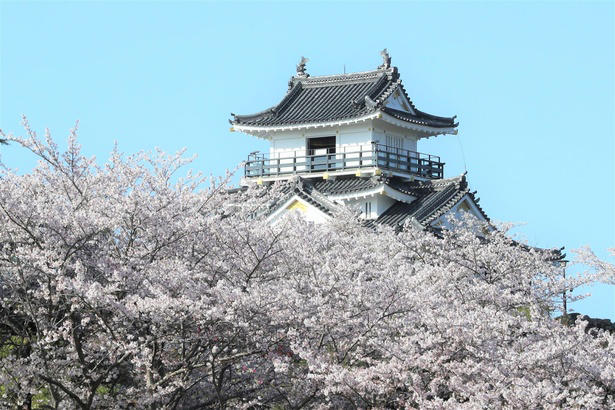 【東北】今見頃・まもなく見頃を迎えそうな名所の桜, 【関東】今見頃・まもなく見頃を迎えそうな名所の桜, 【甲信越】今見頃・まもなく見頃を迎えそうな名所の桜, 【北陸】今見頃・まもなく見頃を迎えそうな名所の桜, 【東海】今見頃・まもなく見頃を迎えそうな名所の桜, 【関西】今見頃・まもなく見頃を迎えそうな名所の桜, 【中国】今見頃・まもなく見頃を迎えそうな名所の桜, 【四国】今見頃・まもなく見頃を迎えそうな名所の桜, 【九州】今見頃・まもなく見頃を迎えそうな名所の桜