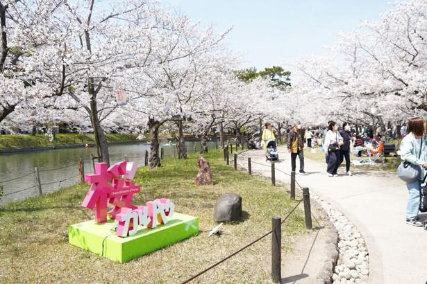 【東北】今見頃・まもなく見頃を迎えそうな名所の桜, 【関東】今見頃・まもなく見頃を迎えそうな名所の桜, 【甲信越】今見頃・まもなく見頃を迎えそうな名所の桜, 【北陸】今見頃・まもなく見頃を迎えそうな名所の桜, 【東海】今見頃・まもなく見頃を迎えそうな名所の桜, 【関西】今見頃・まもなく見頃を迎えそうな名所の桜, 【中国】今見頃・まもなく見頃を迎えそうな名所の桜, 【四国】今見頃・まもなく見頃を迎えそうな名所の桜, 【九州】今見頃・まもなく見頃を迎えそうな名所の桜