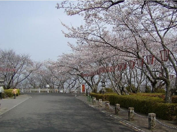 【東北】今見頃・まもなく見頃を迎えそうな名所の桜, 【関東】今見頃・まもなく見頃を迎えそうな名所の桜, 【甲信越】今見頃・まもなく見頃を迎えそうな名所の桜, 【北陸】今見頃・まもなく見頃を迎えそうな名所の桜, 【東海】今見頃・まもなく見頃を迎えそうな名所の桜, 【関西】今見頃・まもなく見頃を迎えそうな名所の桜, 【中国】今見頃・まもなく見頃を迎えそうな名所の桜, 【四国】今見頃・まもなく見頃を迎えそうな名所の桜, 【九州】今見頃・まもなく見頃を迎えそうな名所の桜