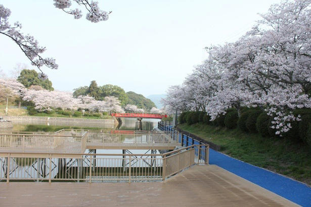 【東北】今見頃・まもなく見頃を迎えそうな名所の桜, 【関東】今見頃・まもなく見頃を迎えそうな名所の桜, 【甲信越】今見頃・まもなく見頃を迎えそうな名所の桜, 【北陸】今見頃・まもなく見頃を迎えそうな名所の桜, 【東海】今見頃・まもなく見頃を迎えそうな名所の桜, 【関西】今見頃・まもなく見頃を迎えそうな名所の桜, 【中国】今見頃・まもなく見頃を迎えそうな名所の桜, 【四国】今見頃・まもなく見頃を迎えそうな名所の桜, 【九州】今見頃・まもなく見頃を迎えそうな名所の桜