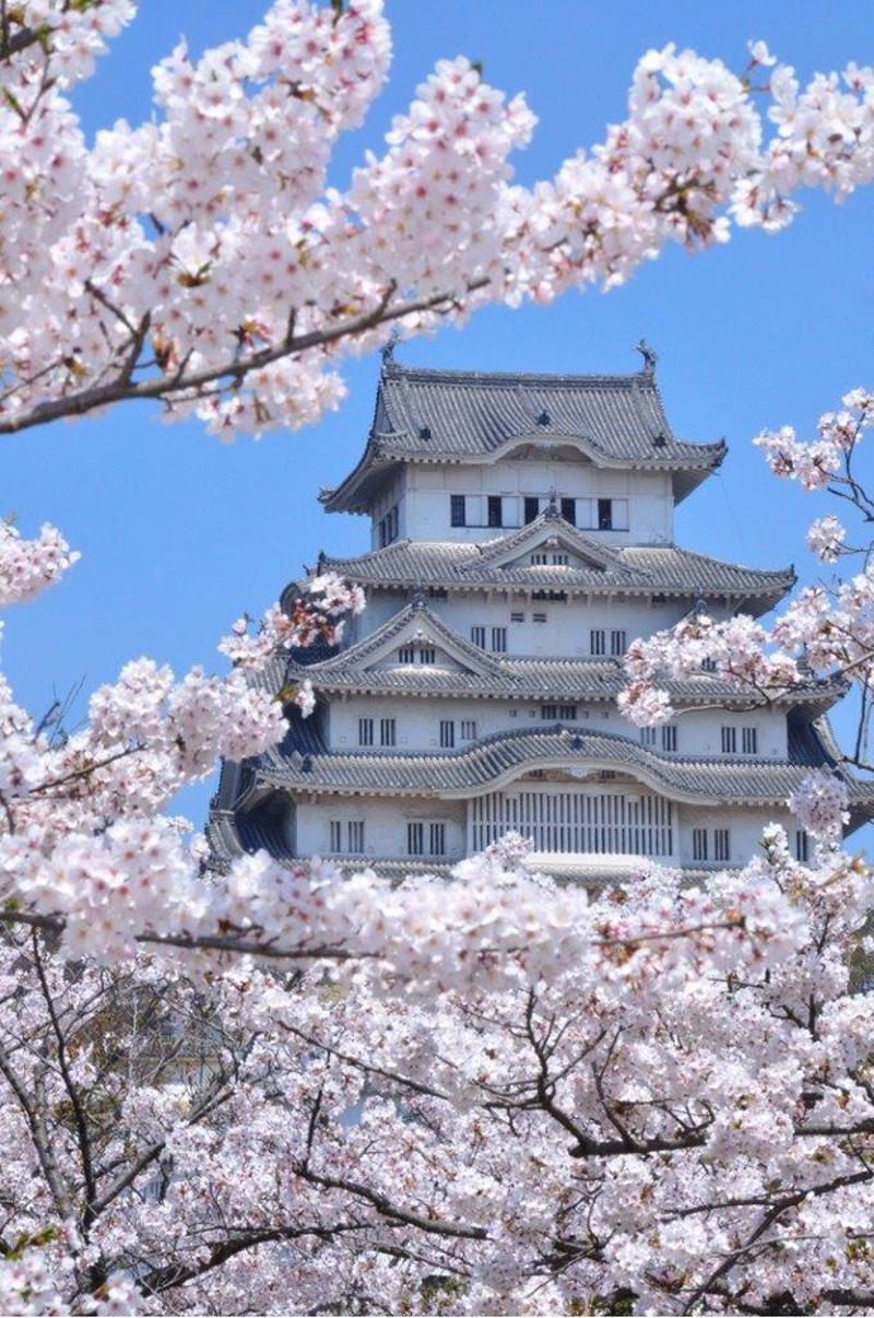【東北】今見頃・まもなく見頃を迎えそうな名所の桜, 【関東】今見頃・まもなく見頃を迎えそうな名所の桜, 【甲信越】今見頃・まもなく見頃を迎えそうな名所の桜, 【北陸】今見頃・まもなく見頃を迎えそうな名所の桜, 【東海】今見頃・まもなく見頃を迎えそうな名所の桜, 【関西】今見頃・まもなく見頃を迎えそうな名所の桜, 【中国】今見頃・まもなく見頃を迎えそうな名所の桜, 【四国】今見頃・まもなく見頃を迎えそうな名所の桜, 【九州】今見頃・まもなく見頃を迎えそうな名所の桜