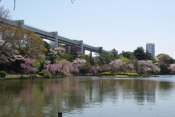 【東北】今見頃・まもなく見頃を迎えそうな名所の桜, 【関東】今見頃・まもなく見頃を迎えそうな名所の桜, 【甲信越】今見頃・まもなく見頃を迎えそうな名所の桜, 【北陸】今見頃・まもなく見頃を迎えそうな名所の桜, 【東海】今見頃・まもなく見頃を迎えそうな名所の桜, 【関西】今見頃・まもなく見頃を迎えそうな名所の桜, 【中国】今見頃・まもなく見頃を迎えそうな名所の桜, 【四国】今見頃・まもなく見頃を迎えそうな名所の桜, 【九州】今見頃・まもなく見頃を迎えそうな名所の桜