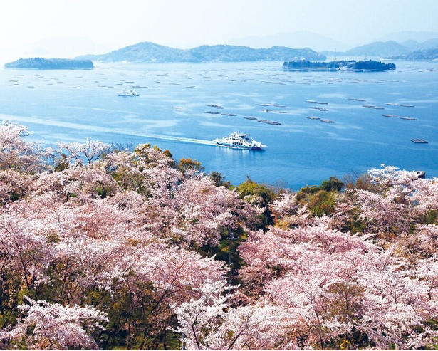 【東北】今見頃・まもなく見頃を迎えそうな名所の桜, 【関東】今見頃・まもなく見頃を迎えそうな名所の桜, 【甲信越】今見頃・まもなく見頃を迎えそうな名所の桜, 【北陸】今見頃・まもなく見頃を迎えそうな名所の桜, 【東海】今見頃・まもなく見頃を迎えそうな名所の桜, 【関西】今見頃・まもなく見頃を迎えそうな名所の桜, 【中国】今見頃・まもなく見頃を迎えそうな名所の桜, 【四国】今見頃・まもなく見頃を迎えそうな名所の桜, 【九州】今見頃・まもなく見頃を迎えそうな名所の桜