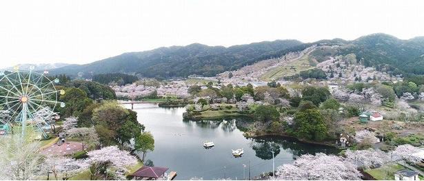 【東北】今見頃・まもなく見頃を迎えそうな名所の桜, 【関東】今見頃・まもなく見頃を迎えそうな名所の桜, 【甲信越】今見頃・まもなく見頃を迎えそうな名所の桜, 【北陸】今見頃・まもなく見頃を迎えそうな名所の桜, 【東海】今見頃・まもなく見頃を迎えそうな名所の桜, 【関西】今見頃・まもなく見頃を迎えそうな名所の桜, 【中国】今見頃・まもなく見頃を迎えそうな名所の桜, 【四国】今見頃・まもなく見頃を迎えそうな名所の桜, 【九州】今見頃・まもなく見頃を迎えそうな名所の桜