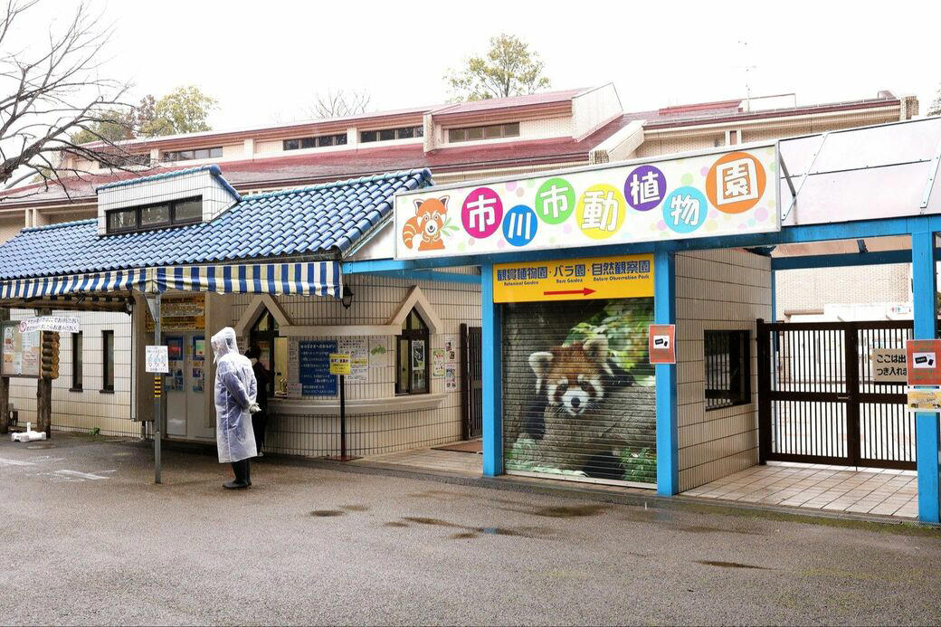 「サル山担当」になり1カ月半で、パンチくんを人工哺育, パンチくんを「保育器に入れなかった」理由, ぬいぐるみは「人への過剰な依存」を避ける目的もある, 群れに戻すことは非常に難しい, 飼育員が「やさしくしてくれるサル」を見極めた, “無邪気で活発”なパンチくんの強み