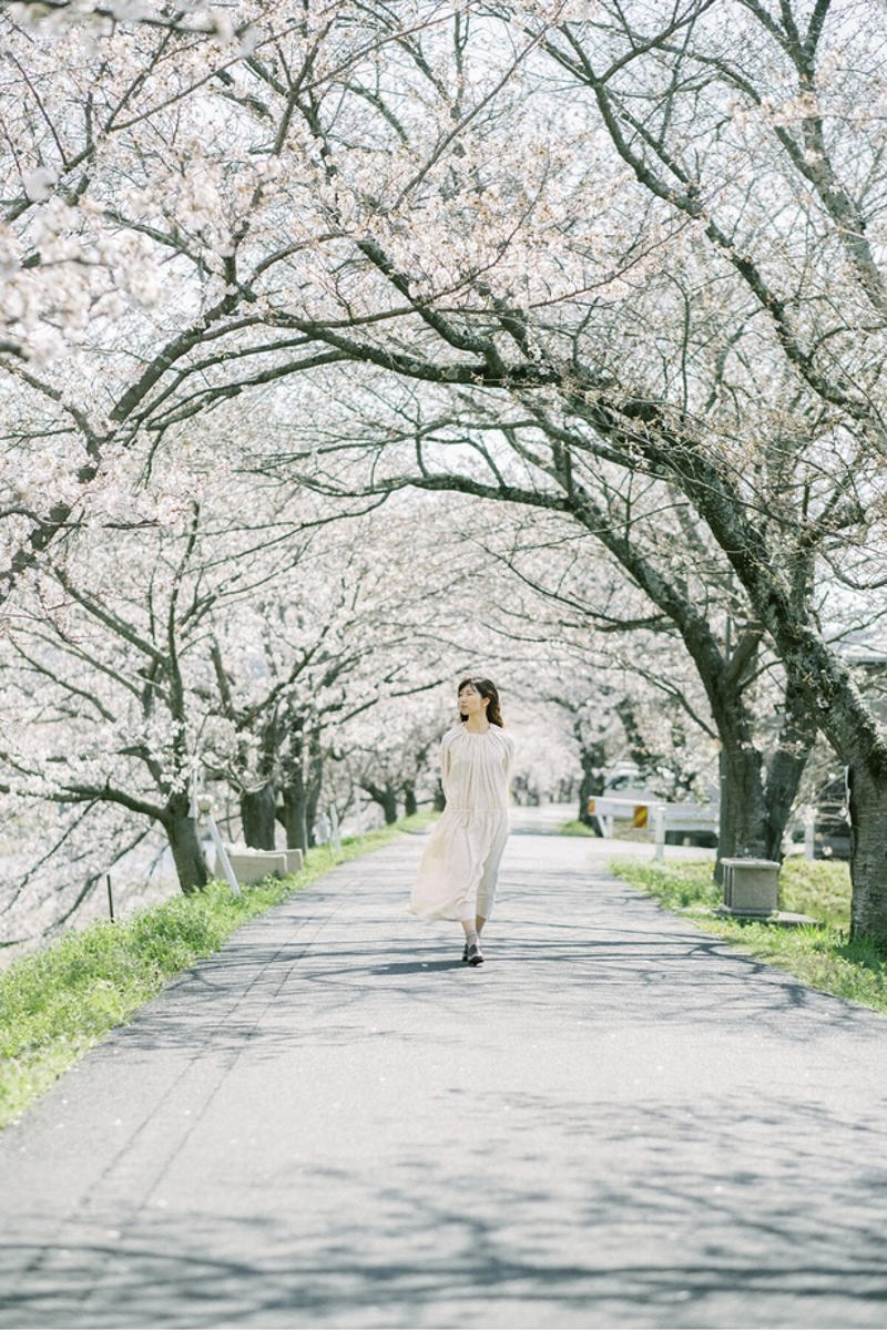 【東北】今見頃・まもなく見頃を迎えそうな名所の桜, 【関東】今見頃・まもなく見頃を迎えそうな名所の桜, 【甲信越】今見頃・まもなく見頃を迎えそうな名所の桜, 【北陸】今見頃・まもなく見頃を迎えそうな名所の桜, 【東海】今見頃・まもなく見頃を迎えそうな名所の桜, 【関西】今見頃・まもなく見頃を迎えそうな名所の桜, 【中国】今見頃・まもなく見頃を迎えそうな名所の桜, 【四国】今見頃・まもなく見頃を迎えそうな名所の桜, 【九州】今見頃・まもなく見頃を迎えそうな名所の桜