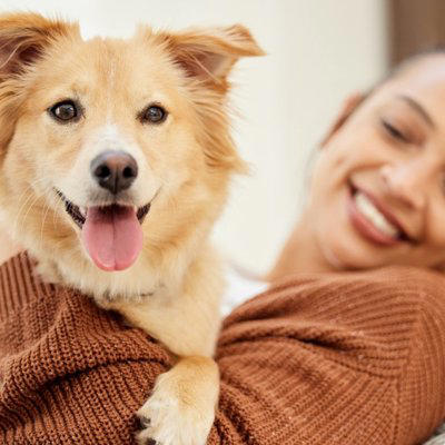 犬が思う『幸せなこと』５選, 1.飼い主や家族との良質なコミュニケーション, 2.楽しさを感じられる充実したお散歩, 3.十分な美味しい食事, 4.安心できる快適な生活環境と寝床, 5.家族やその他の人や犬との社会的な交流, 愛犬の幸福度を高めるために飼い主ができること