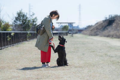 犬が思う『幸せなこと』５選, 1.飼い主や家族との良質なコミュニケーション, 2.楽しさを感じられる充実したお散歩, 3.十分な美味しい食事, 4.安心できる快適な生活環境と寝床, 5.家族やその他の人や犬との社会的な交流, 愛犬の幸福度を高めるために飼い主ができること