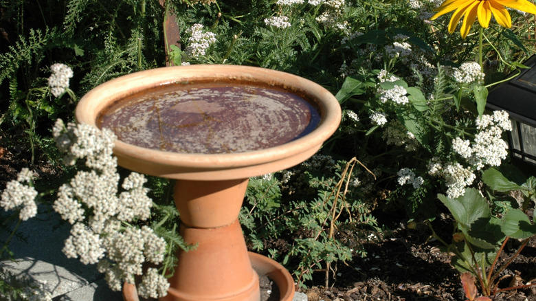 Repurpose found objects, Make use of a tree stump, Build an in ground pool, Suspend baths from low hanging branches, Upcycle an old sink, Pop a margarita glass into your planter, Repurpose an old ice cream parlor chair, Transform candlesticks or vintage lamps, Give new life to a galvanized wash tub