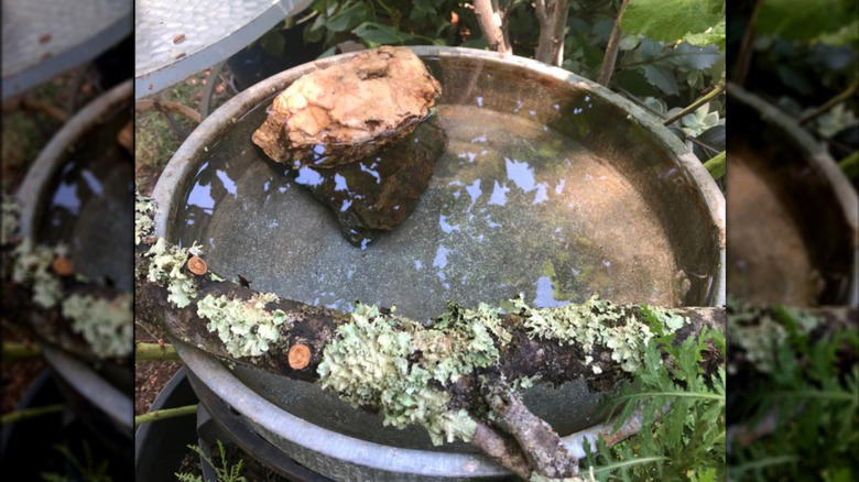 Repurpose found objects, Make use of a tree stump, Build an in ground pool, Suspend baths from low hanging branches, Upcycle an old sink, Pop a margarita glass into your planter, Repurpose an old ice cream parlor chair, Transform candlesticks or vintage lamps, Give new life to a galvanized wash tub