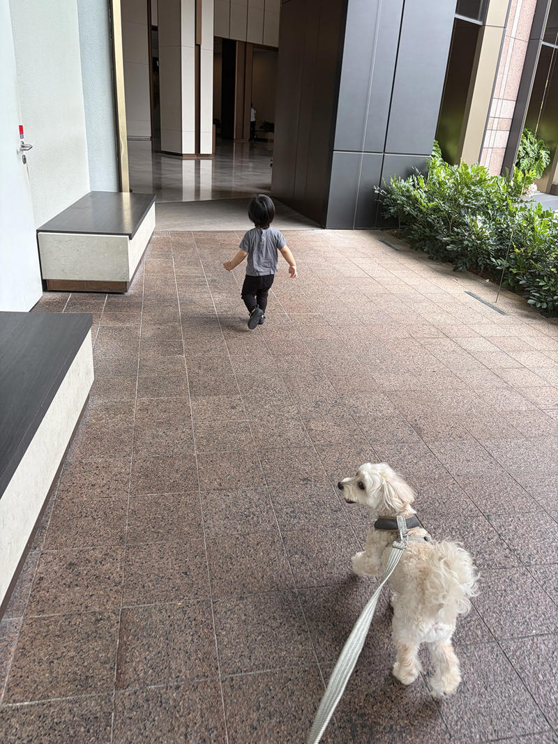 5年間、悩んでいたこと, 切羽詰まった私とヘルパーさんの出会い, 助けてもらって見えた大切なこと, 自分には何ができるか、考えたい