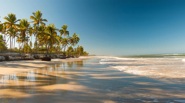 Take advantage of curated vacation packages and 'more stay, less pay' deals, Earn post-trip Costco Shop Cards that act as a travel rebate, Discover new products and destinations through your Costco membership, Protect your trip with Costco Travel and car insurance, Hit the road with your Costco membership