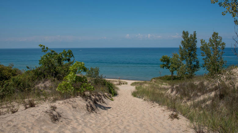 Sleeping Bear Dunes National Lakeshore, Michigan, Indiana Dunes National Park, Indiana, Whitefish Dunes State Park, Wisconsin, Park Point Recreation Area, Minnesota, Montrose Beach, Illinois, Methodology
