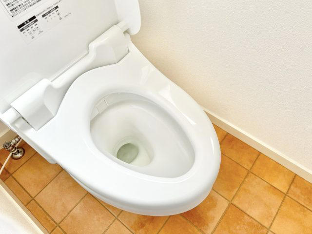 【NG1】アルコール除菌スプレーを使う, 【NG2】トイレットペーパーで乾拭きする, 【NG3】お掃除シートを一度に流す, 正しいお掃除でキレイをキープしよう