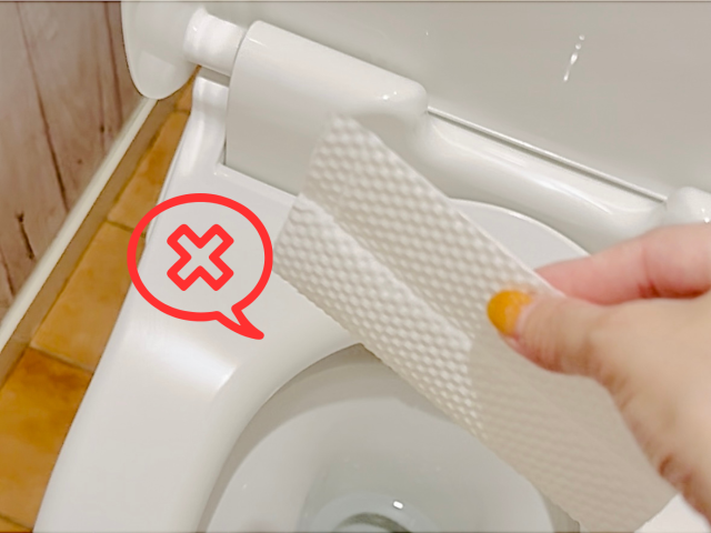 【NG1】アルコール除菌スプレーを使う, 【NG2】トイレットペーパーで乾拭きする, 【NG3】お掃除シートを一度に流す, 正しいお掃除でキレイをキープしよう