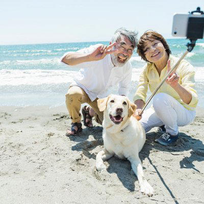 犬を「スマホで撮影」するときのNG行為3選, 1.フラッシュの使用, 2.無理なポーズの強要, 3.長時間の拘束, 犬が「撮られたくない」時に出すサイン, 愛犬に負担をかけない撮影のコツ