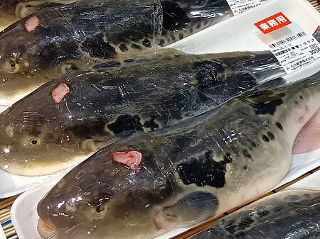 ■魚一匹まるごとの状態で販売されていることも多く、珍しい魚を見ることができるのも楽しいポイントです。天然魚もたくさん並んでいて、見ているだけでもワクワクします。, ■家族で魚を観察して購入できる、とっても楽しい空間なんです！, ■ハモ（鱧）は養殖がとても難しく、ほとんどが天然ものです。, ■2パックで購入すると2500円など、やはり沢山入手するとお安くなるようですね！, ■見てください！切り分けてみた切り身です。食べる前から、美味しいのが分かります。, ■ 食べ方のおすすめ, ■半額だった天然の本まぐろのサクも一緒に購入してまぐろ丼にして頂きました。, ■他にも、フグなども入手できますよ！, ■大阪といえばフグですが、こちらのお店ではフグや白子なども並んでいました。, ■カニなどの海産物もあり、見ているだけでも楽しめるラインナップです。, ■鮮度抜群の天然魚が手に入ります。ぜひ一度、足を運んで実際に見てみてくださいね。