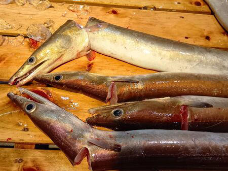 ■魚一匹まるごとの状態で販売されていることも多く、珍しい魚を見ることができるのも楽しいポイントです。天然魚もたくさん並んでいて、見ているだけでもワクワクします。, ■家族で魚を観察して購入できる、とっても楽しい空間なんです！, ■ハモ（鱧）は養殖がとても難しく、ほとんどが天然ものです。, ■2パックで購入すると2500円など、やはり沢山入手するとお安くなるようですね！, ■見てください！切り分けてみた切り身です。食べる前から、美味しいのが分かります。, ■ 食べ方のおすすめ, ■半額だった天然の本まぐろのサクも一緒に購入してまぐろ丼にして頂きました。, ■他にも、フグなども入手できますよ！, ■大阪といえばフグですが、こちらのお店ではフグや白子なども並んでいました。, ■カニなどの海産物もあり、見ているだけでも楽しめるラインナップです。, ■鮮度抜群の天然魚が手に入ります。ぜひ一度、足を運んで実際に見てみてくださいね。