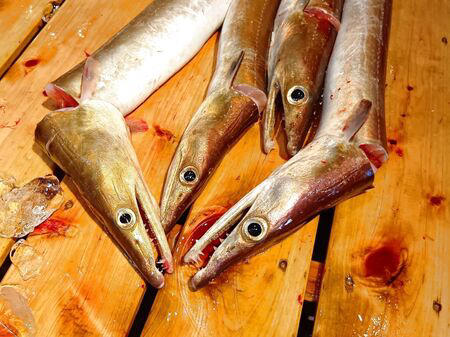 ■活魚センター大昌 (だいしょう)は、一般的な飲食店というより、プロ向けの活魚・高級食材の卸業者ですが、一般の人も購入できます。, ■今回ようやく足を運び、入店～！→日本最大級クラスの水槽設備を備え、魚を活きたまま管理・流通だって！→思ったよりも凄かった！, ■水槽には、私も大好きな天然魚の「ハモ」が！, ■大阪といえば、ふぐ！, ■わ～！沢山の魚！これは、綺麗な赤い魚のキンメ！よく食べていますよ→ほっけ！, ■イセエビ！このイセエビ生きてるよぅ！, ■うなぎもうごめいています！なんだか、気色悪いっ。, ■飲食店や料理人が仕入れに訪れるほどの高品質な食材を扱う、まさに“料理人のための魚のテーマパーク”のような存在！, ■料理人だけでなく、我が家のような一般の家族でも、魚をじっくり観察しながら購入できる、とても楽しい空間です！, ■魚一匹まるごとの状態で販売されていることも多く、珍しい魚を見ることができるのも楽しいポイントです。天然魚もたくさん並んでいて、見ているだけでもワクワクします。, ■ハモを天然魚として買ってみることに！, ■天然魚を買うミッション！１つ目の魚はハモに決定～！, ■店内を見てまわると、半額シールのお品のサーモンやまぐろを発見！, ■天然魚の本マグロです！宮崎産の天然本マグロを買ったよ！天然魚を買うミッション２つ目の魚です、成功～！, ■買って帰りまして、ハモは夕ご飯に食べるので冷蔵庫へ, ■天然の本まぐろだけで、シンプルにまぐろ丼を作ります。１０分で完成です！, ■楽しいし、美味しいし、色んな意味で、ミッション成功後の「天然本まぐろのまぐろ丼」最高です！！！, ■追加です！夕飯に食べた、サッと茹でて食べたハモですが、めちゃ旨～！！！