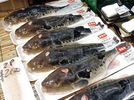■活魚センター大昌 (だいしょう)は、一般的な飲食店というより、プロ向けの活魚・高級食材の卸業者ですが、一般の人も購入できます。, ■今回ようやく足を運び、入店～！→日本最大級クラスの水槽設備を備え、魚を活きたまま管理・流通だって！→思ったよりも凄かった！, ■水槽には、私も大好きな天然魚の「ハモ」が！, ■大阪といえば、ふぐ！, ■わ～！沢山の魚！これは、綺麗な赤い魚のキンメ！よく食べていますよ→ほっけ！, ■イセエビ！このイセエビ生きてるよぅ！, ■うなぎもうごめいています！なんだか、気色悪いっ。, ■飲食店や料理人が仕入れに訪れるほどの高品質な食材を扱う、まさに“料理人のための魚のテーマパーク”のような存在！, ■料理人だけでなく、我が家のような一般の家族でも、魚をじっくり観察しながら購入できる、とても楽しい空間です！, ■魚一匹まるごとの状態で販売されていることも多く、珍しい魚を見ることができるのも楽しいポイントです。天然魚もたくさん並んでいて、見ているだけでもワクワクします。, ■ハモを天然魚として買ってみることに！, ■天然魚を買うミッション！１つ目の魚はハモに決定～！, ■店内を見てまわると、半額シールのお品のサーモンやまぐろを発見！, ■天然魚の本マグロです！宮崎産の天然本マグロを買ったよ！天然魚を買うミッション２つ目の魚です、成功～！, ■買って帰りまして、ハモは夕ご飯に食べるので冷蔵庫へ, ■天然の本まぐろだけで、シンプルにまぐろ丼を作ります。１０分で完成です！, ■楽しいし、美味しいし、色んな意味で、ミッション成功後の「天然本まぐろのまぐろ丼」最高です！！！, ■追加です！夕飯に食べた、サッと茹でて食べたハモですが、めちゃ旨～！！！