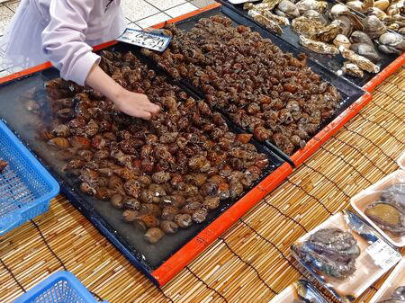 ■活魚センター大昌 (だいしょう)は、一般的な飲食店というより、プロ向けの活魚・高級食材の卸業者ですが、一般の人も購入できます。, ■今回ようやく足を運び、入店～！→日本最大級クラスの水槽設備を備え、魚を活きたまま管理・流通だって！→思ったよりも凄かった！, ■水槽には、私も大好きな天然魚の「ハモ」が！, ■大阪といえば、ふぐ！, ■わ～！沢山の魚！これは、綺麗な赤い魚のキンメ！よく食べていますよ→ほっけ！, ■イセエビ！このイセエビ生きてるよぅ！, ■うなぎもうごめいています！なんだか、気色悪いっ。, ■飲食店や料理人が仕入れに訪れるほどの高品質な食材を扱う、まさに“料理人のための魚のテーマパーク”のような存在！, ■料理人だけでなく、我が家のような一般の家族でも、魚をじっくり観察しながら購入できる、とても楽しい空間です！, ■魚一匹まるごとの状態で販売されていることも多く、珍しい魚を見ることができるのも楽しいポイントです。天然魚もたくさん並んでいて、見ているだけでもワクワクします。, ■ハモを天然魚として買ってみることに！, ■天然魚を買うミッション！１つ目の魚はハモに決定～！, ■店内を見てまわると、半額シールのお品のサーモンやまぐろを発見！, ■天然魚の本マグロです！宮崎産の天然本マグロを買ったよ！天然魚を買うミッション２つ目の魚です、成功～！, ■買って帰りまして、ハモは夕ご飯に食べるので冷蔵庫へ, ■天然の本まぐろだけで、シンプルにまぐろ丼を作ります。１０分で完成です！, ■楽しいし、美味しいし、色んな意味で、ミッション成功後の「天然本まぐろのまぐろ丼」最高です！！！, ■追加です！夕飯に食べた、サッと茹でて食べたハモですが、めちゃ旨～！！！